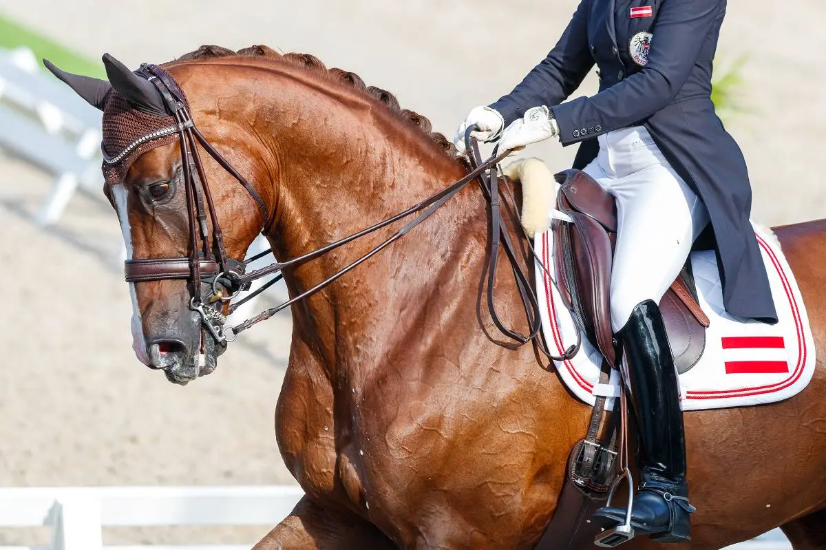 Neue Olympia-Chance Für Dressur-Team | Österreichisches Olympisches Comité