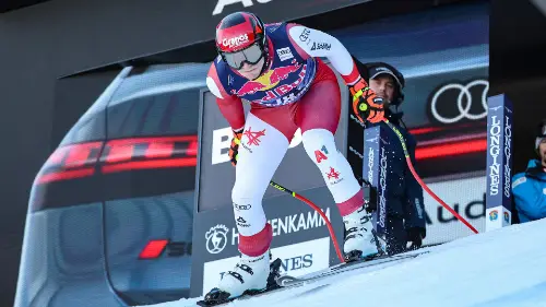 Ausrufezeichen im Kitz-Training